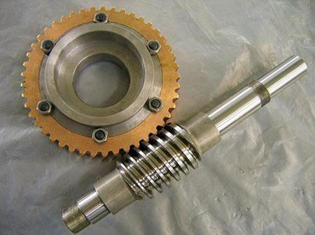 Worm gear